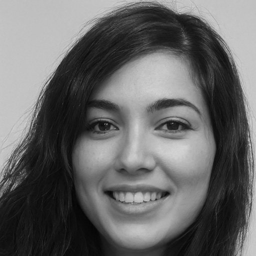 Irene-Klop-linkbuilding-masters